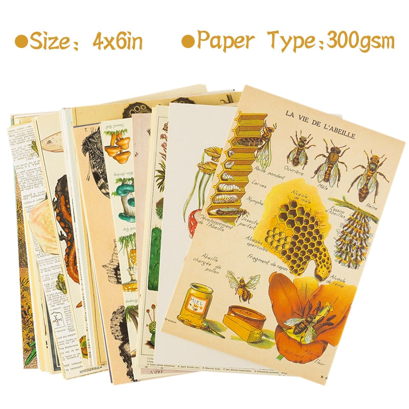 Garden of Botanical Wonders 50pcs Posters