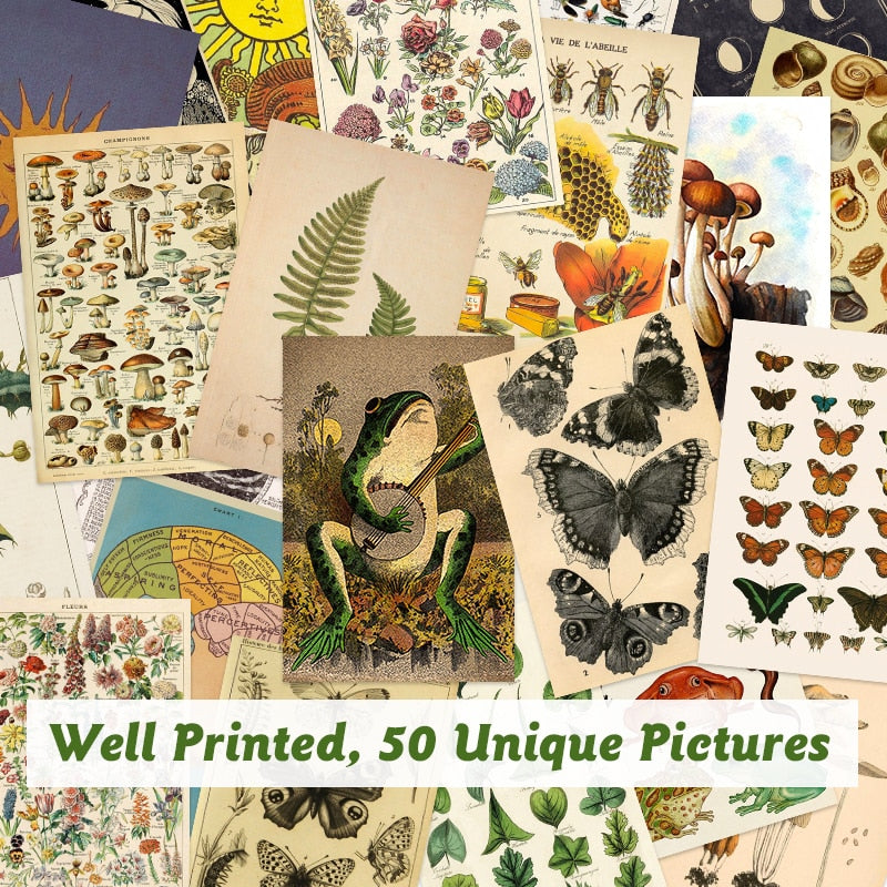 Garden of Botanical Wonders 50pcs Posters