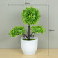 Artificial Bonsai Ornament