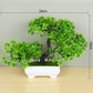 Artificial Bonsai Ornament