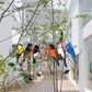 Colored Window Birds