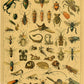 Botanical Insects Posters