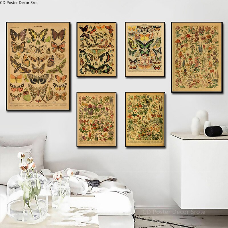 Botanical Insects Posters