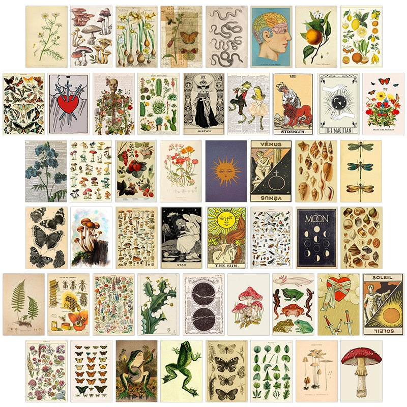 Garden of Botanical Wonders 50pcs Posters